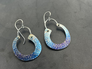 Rise and Titanium round earrings